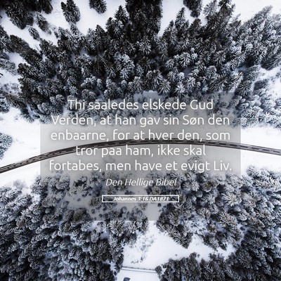 Picture 05 - Johannes 3:16 DA1871 - Thi saaledes elskede Gud Verden, at han gav sin - Bible Verse Picture