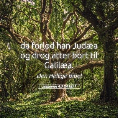 Picture 05 - Johannes 4:3 DA1871 - da forlod han Judæa og drog atter bort til - Bible Verse Picture