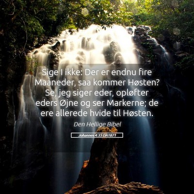 Picture 05 - Johannes 4:35 DA1871 - Sige I ikke: Der er endnu fire Maaneder, saa - Bible Verse Picture