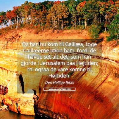 Picture 05 - Johannes 4:45 DA1871 - Da han nu kom til Galilæa, toge Galilæerne imod - Bible Verse Picture