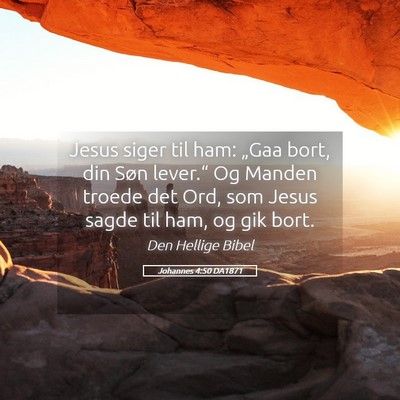 Picture 05 - Johannes 4:50 DA1871 - Jesus siger til ham: „Gaa bort, din Søn - Bible Verse Picture