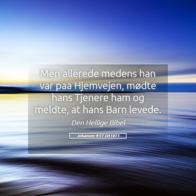 Picture 05 - Johannes 4:51 DA1871 - Men allerede medens han var paa Hjemvejen, mødte - Bible Verse Picture