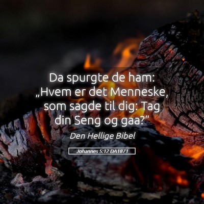 Picture 05 - Johannes 5:12 DA1871 - Da spurgte de ham: „Hvem er det Menneske, som - Bible Verse Picture