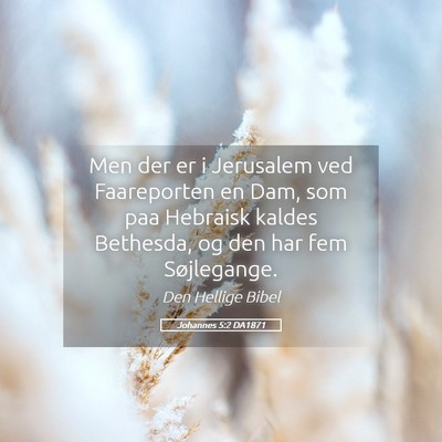 Picture 05 - Johannes 5:2 DA1871 - Men der er i Jerusalem ved Faareporten en Dam, - Bible Verse Picture