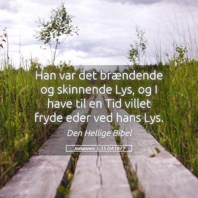 Picture 05 - Johannes 5:35 DA1871 - Han var det brændende og skinnende Lys, og I - Bible Verse Picture