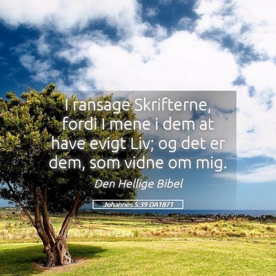 Picture 05 - Johannes 5:39 DA1871 - I ransage Skrifterne, fordi I mene i dem at have - Bible Verse Picture