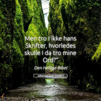 Picture 05 - Johannes 5:47 DA1871 - Men tro I ikke hans Skrifter, hvorledes skulle I - Bible Verse Picture