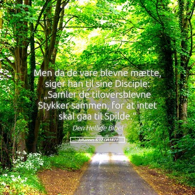 Picture 05 - Johannes 6:12 DA1871 - Men da de vare blevne mætte, siger han til sine - Bible Verse Picture