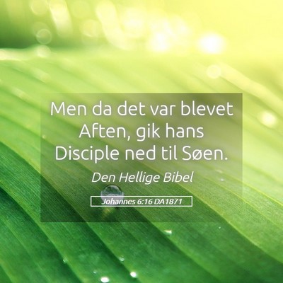 Picture 05 - Johannes 6:16 DA1871 - Men da det var blevet Aften, gik hans Disciple - Bible Verse Picture