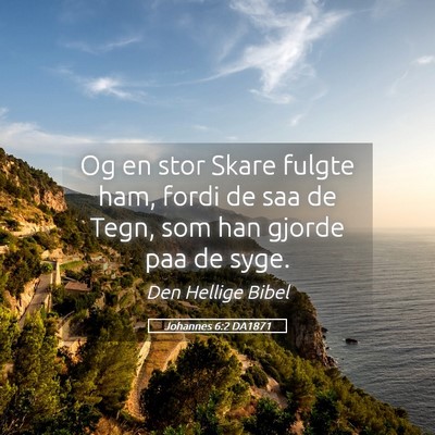 Picture 05 - Johannes 6:2 DA1871 - Og en stor Skare fulgte ham, fordi de saa de - Bible Verse Picture