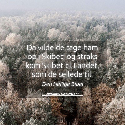 Picture 05 - Johannes 6:21 DA1871 - Da vilde de tage ham op i Skibet; og straks kom - Bible Verse Picture