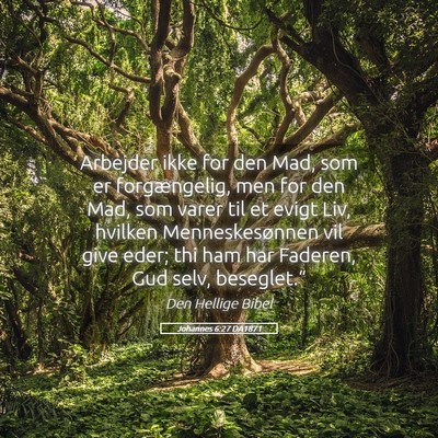 Picture 05 - Johannes 6:27 DA1871 - Arbejder ikke for den Mad, som er forgængelig, - Bible Verse Picture