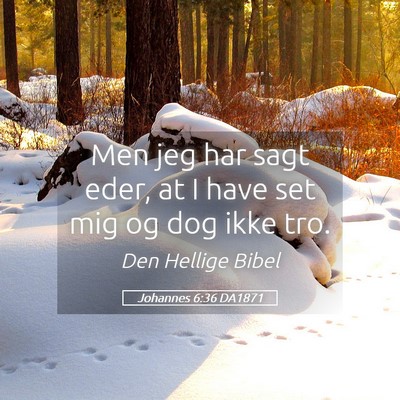 Picture 05 - Johannes 6:36 DA1871 - Men jeg har sagt eder, at I have set mig og dog - Bible Verse Picture