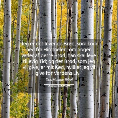 Picture 05 - Johannes 6:51 DA1871 - Jeg er det levende Brød, som kom ned fra - Bible Verse Picture