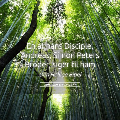 Picture 05 - Johannes 6:8 DA1871 - En af hans Disciple, Andreas, Simon Peters - Bible Verse Picture