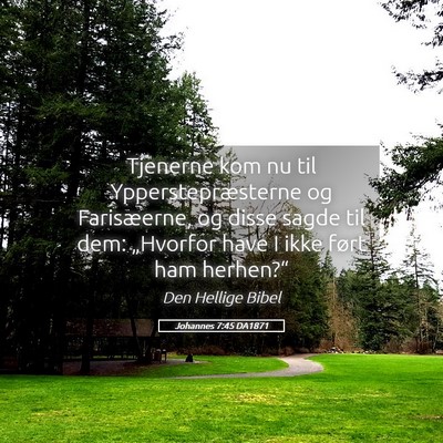 Picture 05 - Johannes 7:45 DA1871 - Tjenerne kom nu til Ypperstepræsterne og - Bible Verse Picture
