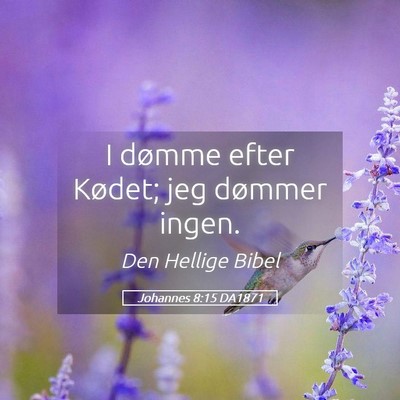 Picture 05 - Johannes 8:15 DA1871 - I dømme efter Kødet; jeg dømmer - Bible Verse Picture