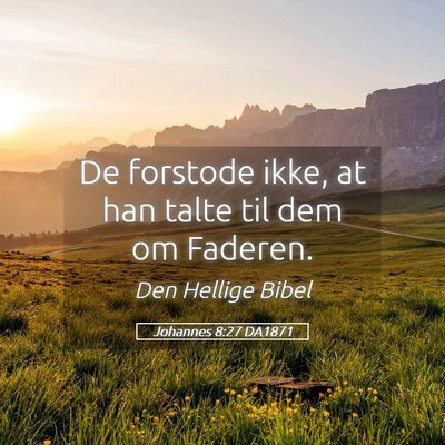 Picture 05 - Johannes 8:27 DA1871 - De forstode ikke, at han talte til dem om - Bible Verse Picture