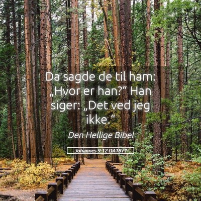 Picture 05 - Johannes 9:12 DA1871 - Da sagde de til ham: „Hvor er han?“ Han - Bible Verse Picture