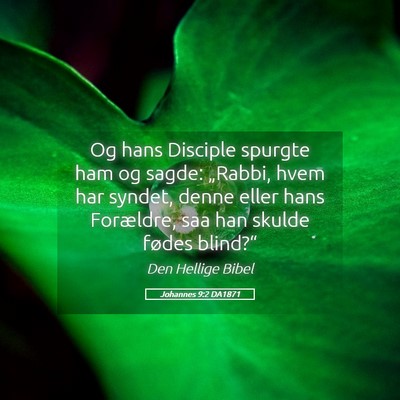 Picture 05 - Johannes 9:2 DA1871 - Og hans Disciple spurgte ham og sagde: „Rabbi, - Bible Verse Picture