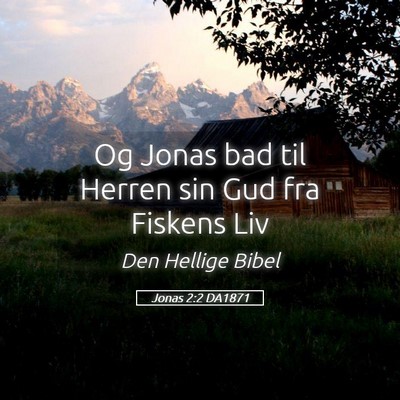 Picture 05 - Jonas 2:2 DA1871 - Og Jonas bad til Herren sin Gud fra Fiskens - Bible Verse Picture