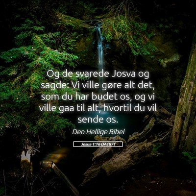 Picture 05 - Josua 1:16 DA1871 - Og de svarede Josva og sagde: Vi ville gøre alt - Bible Verse Picture