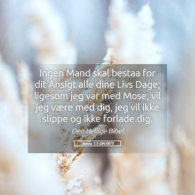 Picture 05 - Josua 1:5 DA1871 - Ingen Mand skal bestaa for dit Ansigt alle dine - Bible Verse Picture