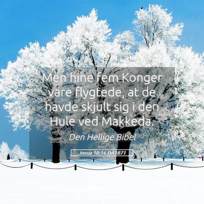 Picture 05 - Josua 10:16 DA1871 - Men hine fem Konger vare flygtede, at de havde - Bible Verse Picture
