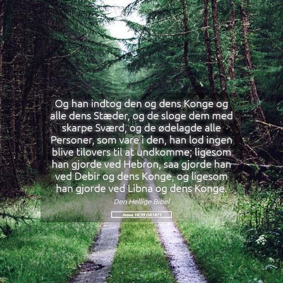 Picture 05 - Josua 10:39 DA1871 - Og han indtog den og dens Konge og alle dens - Bible Verse Picture
