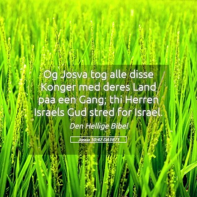 Picture 05 - Josua 10:42 DA1871 - Og Josva tog alle disse Konger med deres Land paa - Bible Verse Picture