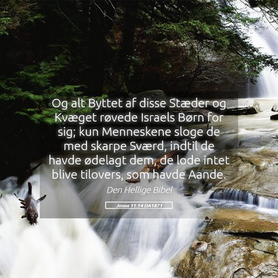 Picture 05 - Josua 11:14 DA1871 - Og alt Byttet af disse Stæder og Kvæget røvede - Bible Verse Picture