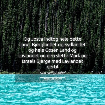 Picture 05 - Josua 11:16 DA1871 - Og Josva indtog hele dette Land, Bjerglandet og - Bible Verse Picture