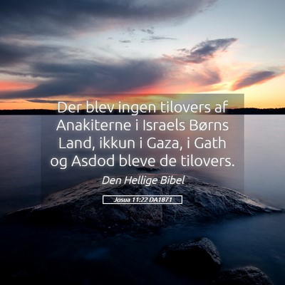 Picture 05 - Josua 11:22 DA1871 - Der blev ingen tilovers af Anakiterne i Israels - Bible Verse Picture