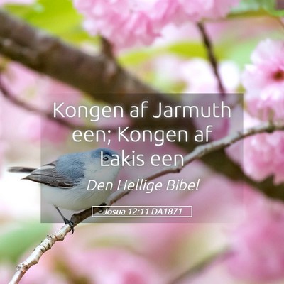 Picture 05 - Josua 12:11 DA1871 - Kongen af Jarmuth een; Kongen af Lakis - Bible Verse Picture