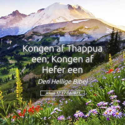 Picture 05 - Josua 12:17 DA1871 - Kongen af Thappua een; Kongen af Hefer - Bible Verse Picture