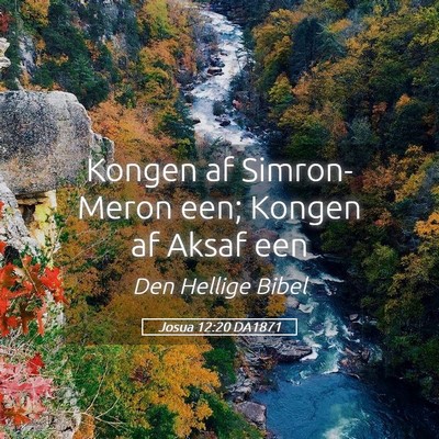 Picture 05 - Josua 12:20 DA1871 - Kongen af Simron-Meron een; Kongen af Aksaf - Bible Verse Picture