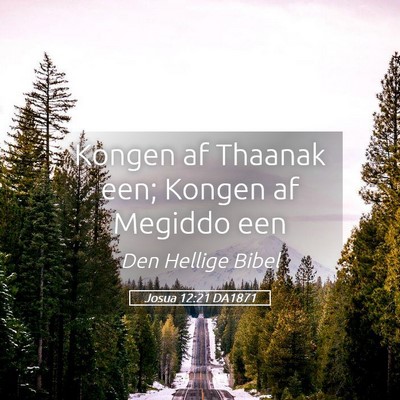 Picture 05 - Josua 12:21 DA1871 - Kongen af Thaanak een; Kongen af Megiddo - Bible Verse Picture