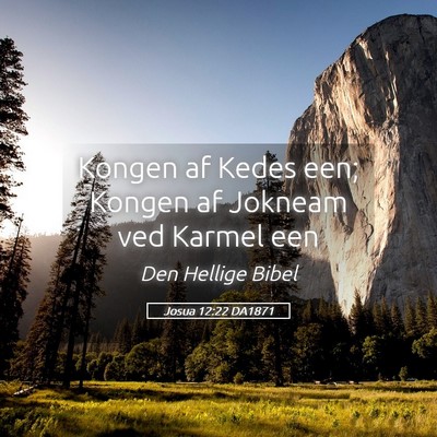 Picture 05 - Josua 12:22 DA1871 - Kongen af Kedes een; Kongen af Jokneam ved Karmel - Bible Verse Picture