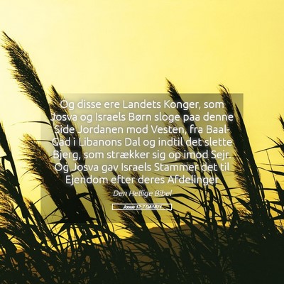 Picture 05 - Josua 12:7 DA1871 - Og disse ere Landets Konger, som Josva og Israels - Bible Verse Picture