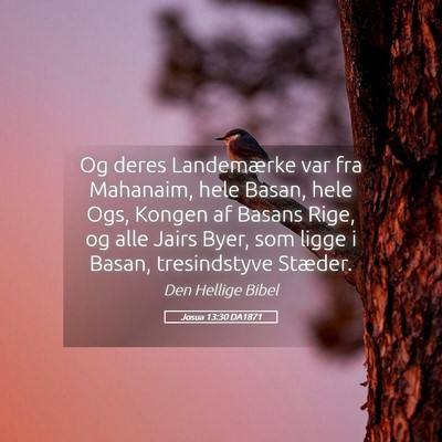 Picture 05 - Josua 13:30 DA1871 - Og deres Landemærke var fra Mahanaim, hele - Bible Verse Picture