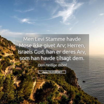 Picture 05 - Josua 13:33 DA1871 - Men Levi Stamme havde Mose ikke givet Arv; - Bible Verse Picture