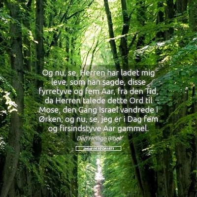 Picture 05 - Josua 14:10 DA1871 - Og nu, se, Herren har ladet mig leve, som han - Bible Verse Picture
