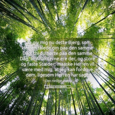 Picture 05 - Josua 14:12 DA1871 - Saa giv mig nu dette Bjerg, som Herren talede om - Bible Verse Picture