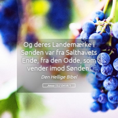 Picture 05 - Josua 15:2 DA1871 - Og deres Landemærke i Sønden var fra Salthavets - Bible Verse Picture