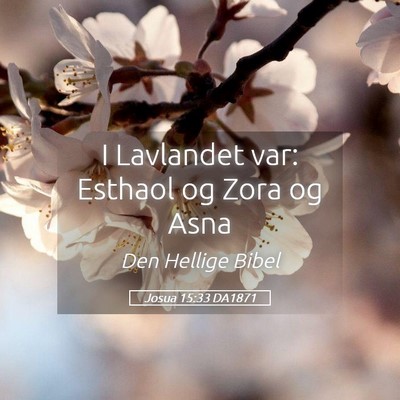 Picture 05 - Josua 15:33 DA1871 - I Lavlandet var: Esthaol og Zora og - Bible Verse Picture