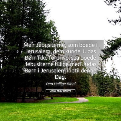 Picture 05 - Josua 15:63 DA1871 - Men Jebusiterne, som boede i Jerusalem, dem kunde - Bible Verse Picture