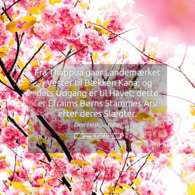 Picture 05 - Josua 16:8 DA1871 - Fra Thappua gaar Landemærket i Vester til - Bible Verse Picture