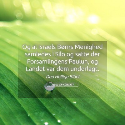 Picture 05 - Josua 18:1 DA1871 - Og al Israels Børns Menighed samledes i Silo og - Bible Verse Picture