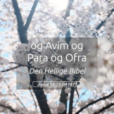 Picture 05 - Josua 18:23 DA1871 - og Avim og Para og - Bible Verse Picture