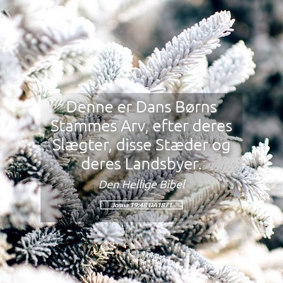 Picture 05 - Josua 19:48 DA1871 - Denne er Dans Børns Stammes Arv, efter deres - Bible Verse Picture